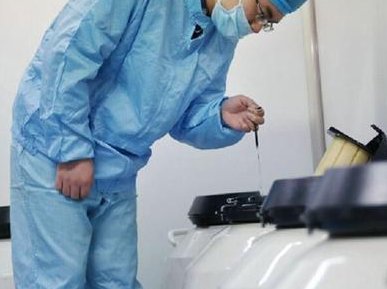 泰国如何高三代试管婴儿成功率？