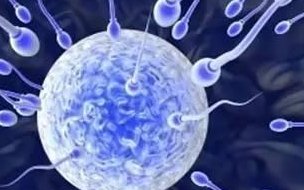 输卵管发育不全做泰国试管费用是多少？