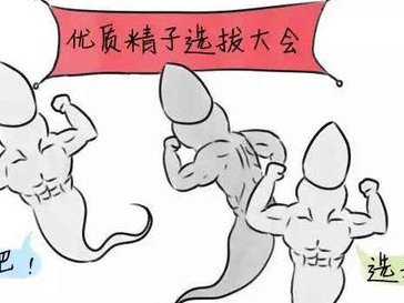 hiv去西安做三代试管贵吗？大概要花费多少钱？