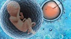 2026浙大一院知名试管医生名单，盘点试管医生有多少助孕成功率